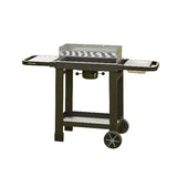 Barbecue COOK IN GARDEN