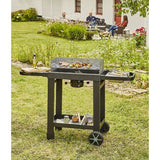 Barbecue COOK IN GARDEN