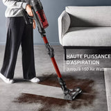 Aspirateur balai Rowenta X-force flex 13.60 animal