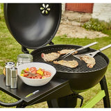 Barbecue COOK IN GARDEN