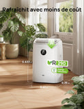 Climatiseur mobile Dreo AC318S