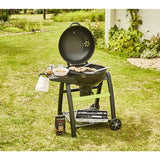 Barbecue COOK IN GARDEN